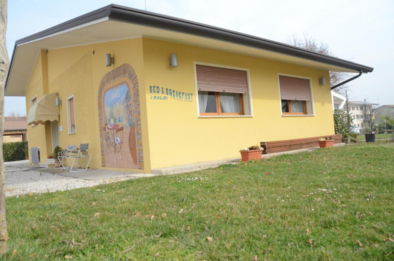 B & B I Balbi Falze di Piave Exteriér fotografie